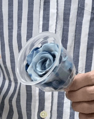 螢幕快照 2018-02-24 下午11.02.34